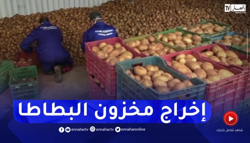 إخراج 15 ألف طن من البطاطا المخزنة لضبط الأسعار