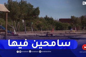 غياب الإهتمام بالمساحات الخضراء..وجه جمالي مغيب على المظهر العام