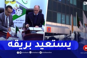 بعد خطوات عن الهاوية ..مجمع سونلغاز يستعيد بريقه