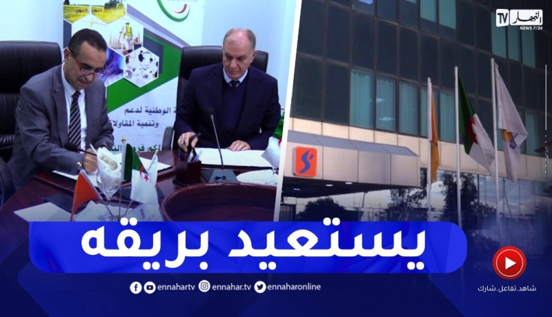 بعد خطوات عن الهاوية ..مجمع سونلغاز يستعيد بريقه