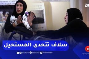 سلاف .. قصة حرفية تحدت الإعاقة لإثبات نفسها