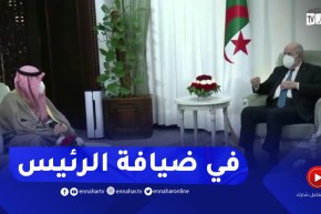 رئيس الجمهورية يستقبل حفيد أمير دولة الكويت عبد الله ناصر الصباح