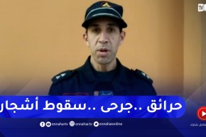 الحماية المدنية تكشف عن الخسائر التي سببتها الرياح العاتية بالبليدة