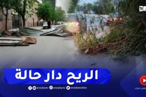 البليدة: بسبب الرياح..سقوط الأشجار والأعمدة واللافتات التوجيهية