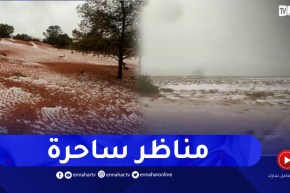 بداية تساقط الثلوج والأمطاربجبل عيسى ولاية النعامة