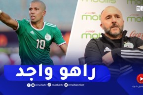 هذا ماقاله بلماضي حول سفيان فيغولي ..” راهو واجد !!”