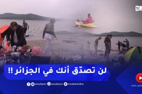 لن تصدّق أنك في الجزائر .. بحيرة الملاح في الطارف تسحر هواة الطبيعة !!