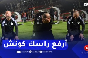 اللّقطة التي حطّمت الجزائريين..انهيار بلماضي على أرضية الميدان وبكاء اللاعبين