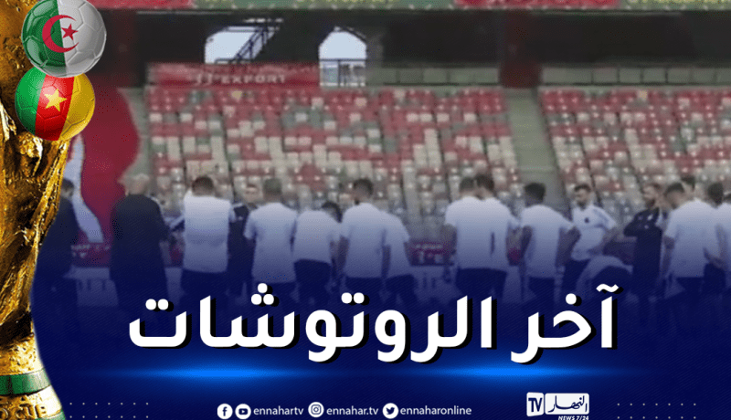 بالفيديو.. الخضر يُجرون آخر حصة تدريبية قبل مواجهة الكاميرون بجابوما