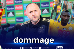 بالفيديو.. بلماضي ينفعل بسبب سؤال مُستفز حول إيبوسي !