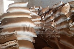 تيارت: الدرك يحجز 36 طن من القمح المدعم بعين كرمس وفرندة