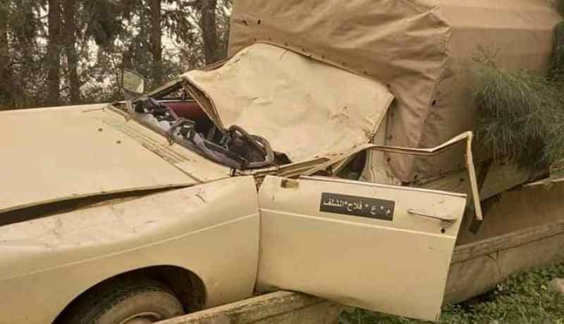 الشلف: 3 جرحى جراء سقوط شجرة على سيارة نفعية بالشطية