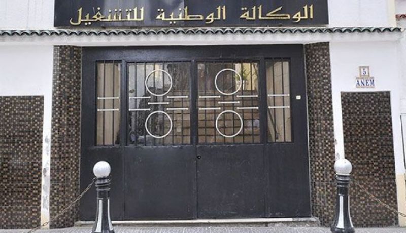 مليون شخص زاروا منصة منحة البطالة خلال 5 أيام فقط