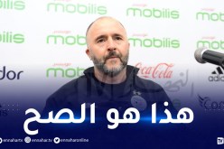 بلماضي: “الحديث عن القائمة كثيرا قلّقني..هذا هو الأهم “