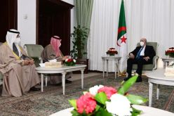 رئيس الجمهورية يستقبل حفيد أمير دولة الكويت مالك شركة الكويت القابضة