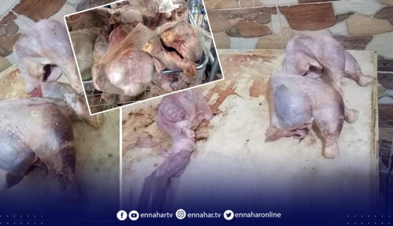 المدية..حجز  قرابة 3 قناطير من لحم الديك الرومي