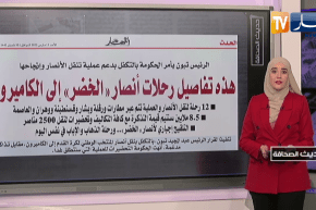 حديث الصحافة: هذه تفاصيل رحلات أنصار الخضر إلى الكاميرون