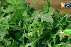 طب الأعشاب: فوائد عشبة “الجرجير” لصحة الجسم