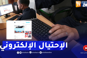 الجريمة السيبرانية.. قضايا الإحتيال في تزايد مستمر