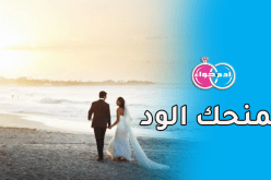 فرصة ثمينة.. وعروس تبدد عند اليأس والحيرة