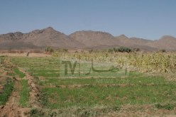 تجريد المستثمرين المتأخرين في مشاريعهم من الأراضي وآخر أجل 15 أفريل