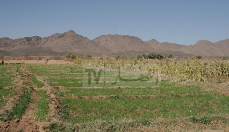 ONTA يطلق منصة معلومات حول الأراضي للاستصلاح وإجراء الحصول على العقار