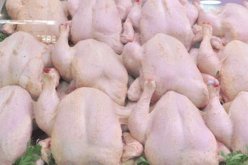 بن زازة: إنتاج 10 آلاف طن من اللحوم البيضاء لتلبية الطلب خلال رمضان