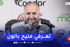 بلماضي لصحفية .. تعرفي بالون مليح