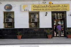 بنك التنمية المحلية: إطلاق 20 وكالة جديدة سنة 2022