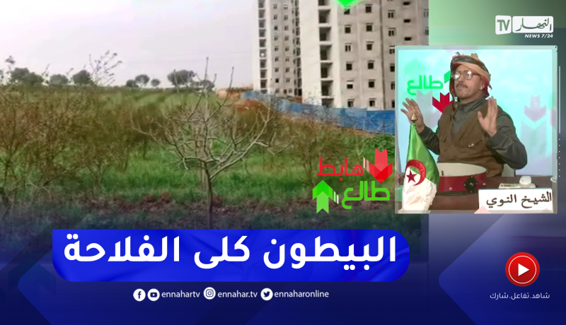 طالع هابط: شاهد فضيحة المدينة المساماة بالذكية سيدي عبد الله وكيف يتم التعدي على الأراضي الفلاحية
