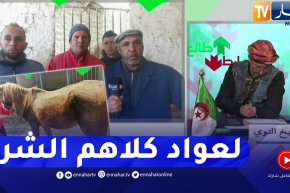 طالع هابط: خيول بدون رعاية وعمال يستغيثون .. شاهد الإهمال الذي أصبح عليه ديوان تربية الخيول والإبل