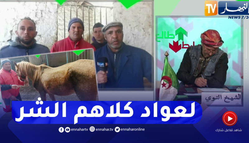 طالع هابط: خيول بدون رعاية وعمال يستغيثون .. شاهد الإهمال الذي أصبح عليه ديوان تربية الخيول والإبل