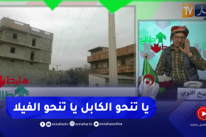 طالع هابط: النوي يقصف السلطات المحلية لعين الدفلى بسبب كابل كهربائي أودى بحياة شخص ولا أحد تدخل