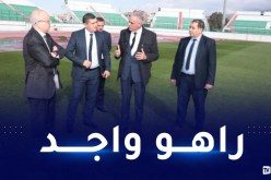 بالصور.. الفاف تؤكد جاهزية ملعب “تشاكر” تحسبا لمواجهة الكاميرون