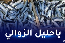وزارة الصيد: أسعار السمك ليست في متناول المواطن البسيط