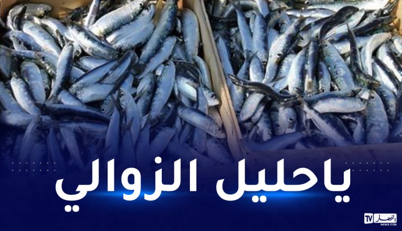 وزارة الصيد: أسعار السمك ليست في متناول المواطن البسيط