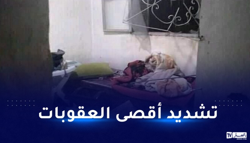 20 سنة سجنا لـ 5 أشخاص إعتدوا على أستاذات ببرج باجي مختار