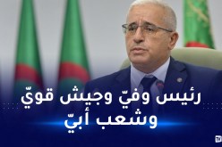 بوغالي عن عيد النصر.. نجدد العهد للوطن على التفاني  في خدمته