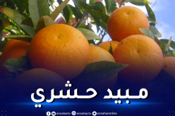 هولندا تسحب البرتقال المغربي من أسواقها بعد اكتشاف مادة خطيرة!