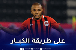 بالفيديو.. براهيمي يبصم على هدف عالمي رفقة الريان