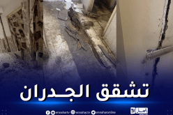 هزة بجاية.. إصابة طالبين بجروح وسيدة بصدمة