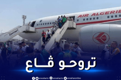 وزارة الشباب والرياضة تزف أخبار سارة لأنصار الخضر