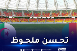 بالفيديو.. شاهد أرضية ملعب “جابوما” قبل قمة الخضر والكاميرون