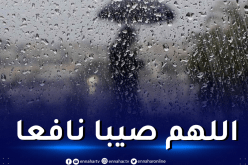 أمطار رعدية في 14 ولاية اليوم الأربعاء