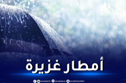 أمطار رعدية غزيرة في هذه الولايات