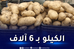 بهدف ضبط الأسعار..الشروع في تموين الأسواق بـ 15 ألف طن من البطاطا