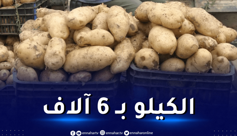 بهدف ضبط الأسعار..الشروع في تموين الأسواق بـ 15 ألف طن من البطاطا