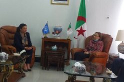 وزيرة التضامن تلتقي الممثلة المقيمة لبرنامج الأمم المتحدة الإنمائي بالجزائر