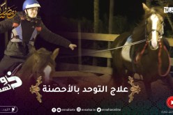 ذوي الهمم /علاج التوحد بالأحصنة