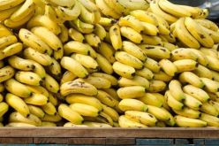 الشرطة تداهم مخازن المضاربة وتحجز أكثر من 12 ألف قنطار موز في 4 ولايات